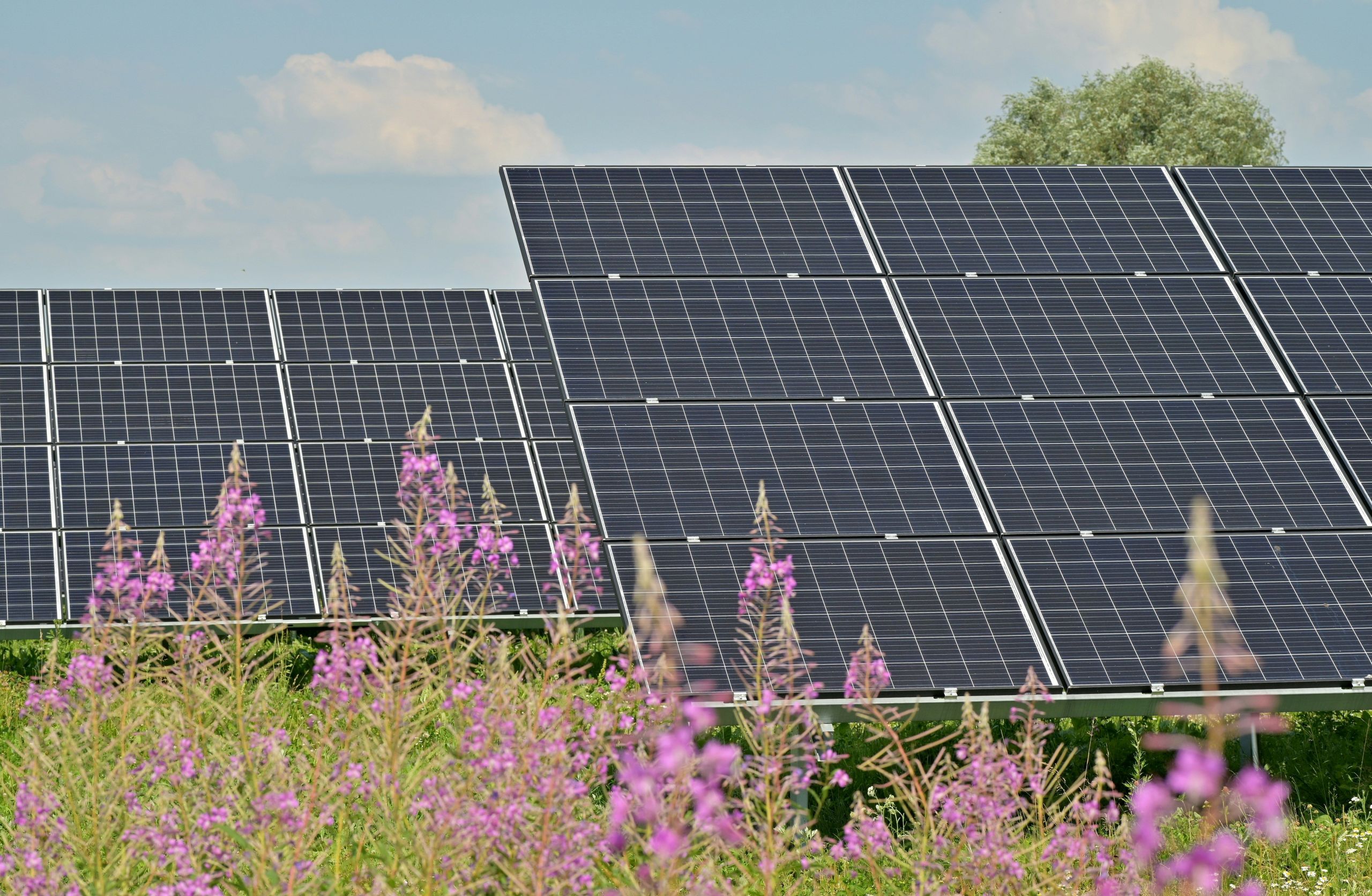 subvencija za sončno elektrarno 2026